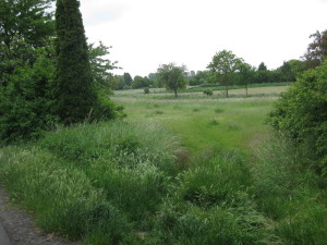 Anderer Blickwinkel. Das ganze sieht auf dem Bild idyllischer aus, als es vor Ort tatsächlich ist. Die Fahrzeuge auf einem möglichen Parkplatz wären wegen der Sträucher von der Straße aus nicht zu sehen.